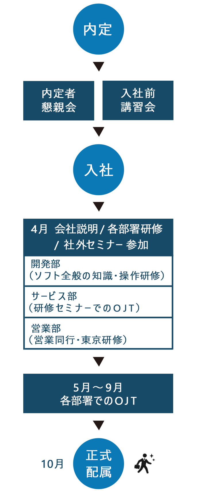 内定→内定者懇親会・内定者研修→内定式（10月）→内定者研修→入社（4月）